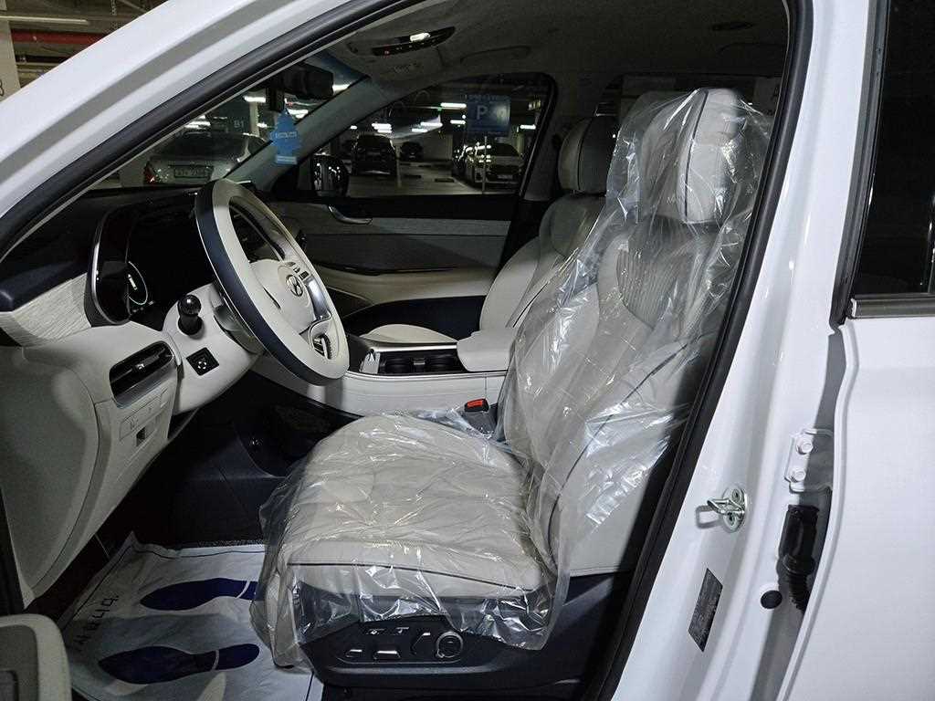 HYUNDAI Palisade - Vista 7