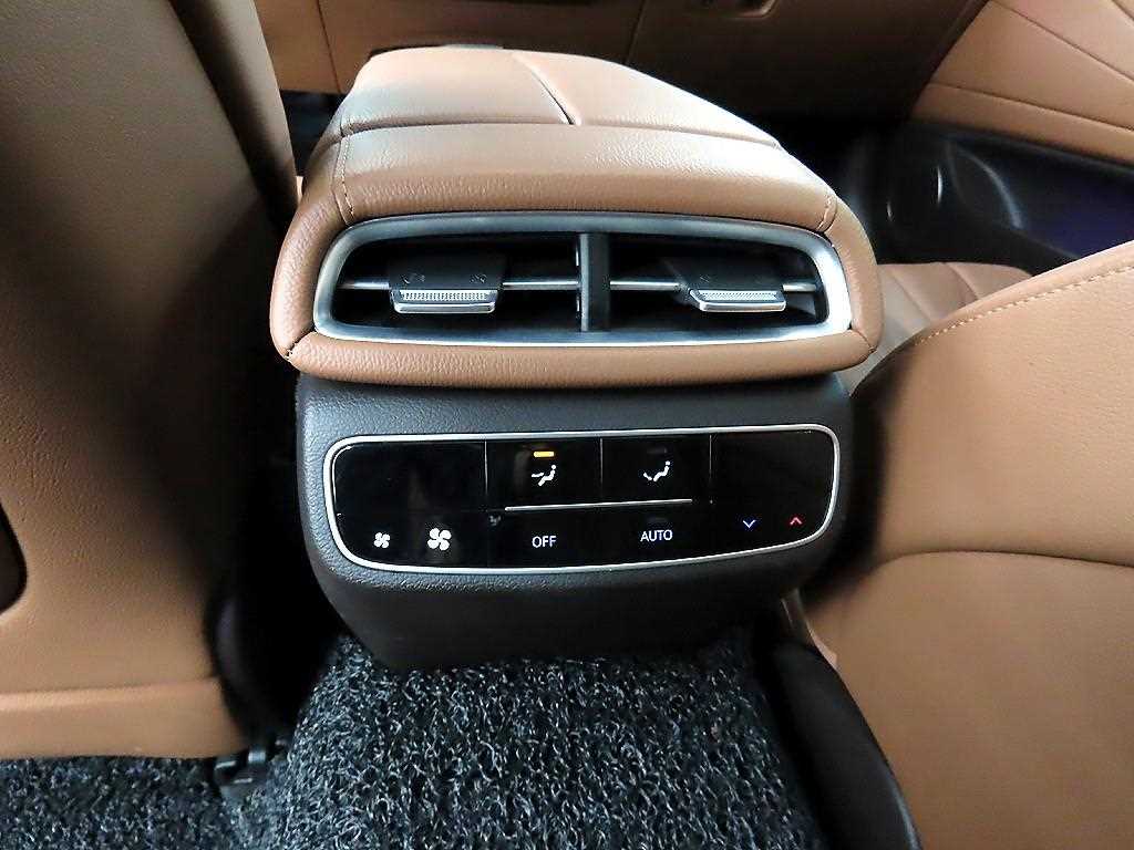 Genesis G80 - Vista 12