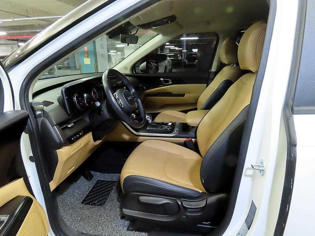 KIA Carnival - Vista 6