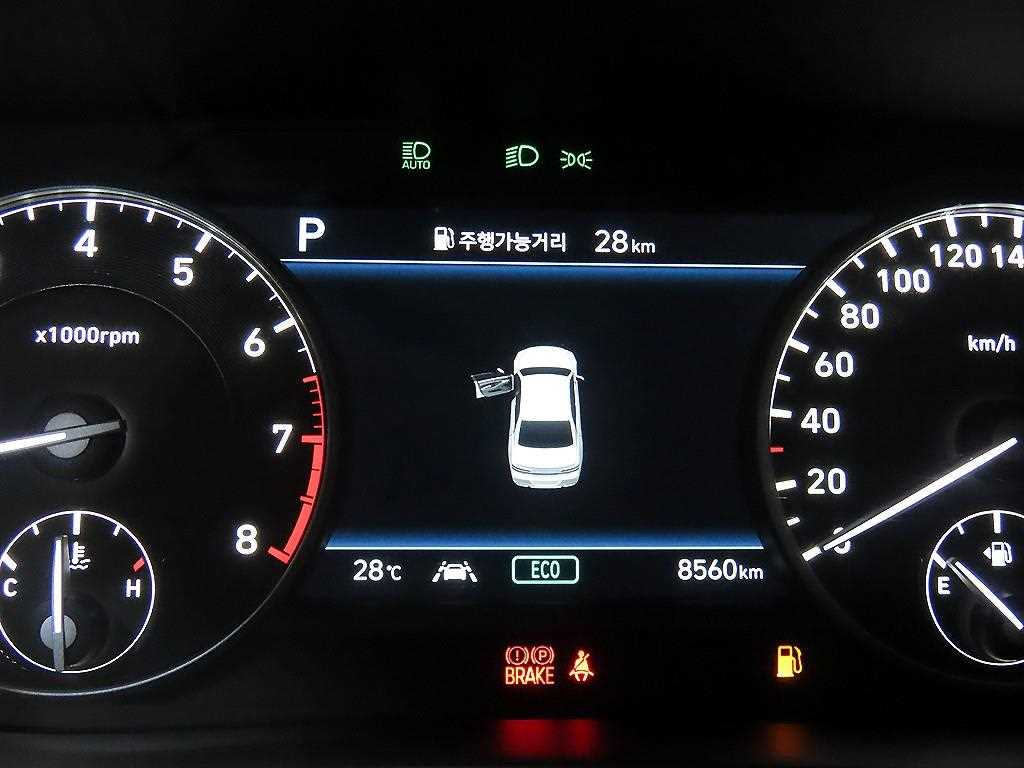 Genesis G90 - Vista 9
