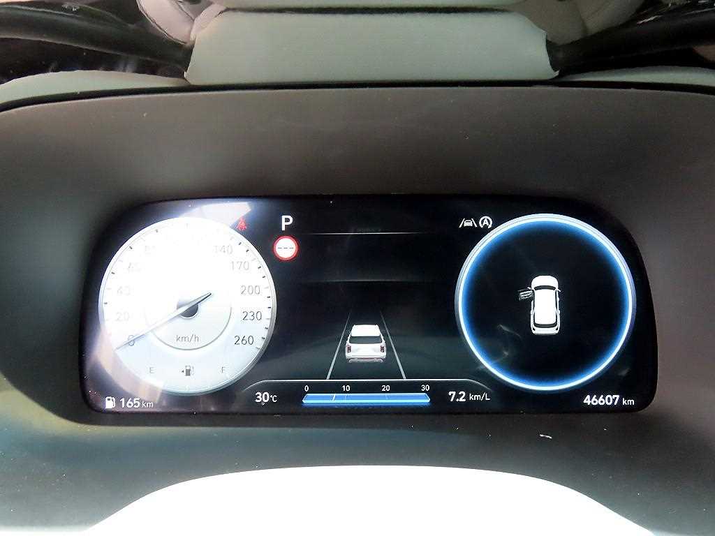 HYUNDAI Palisade - Vista 9