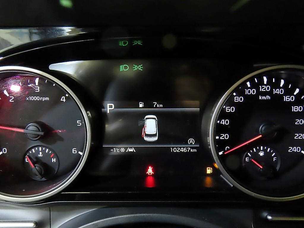 KIA Carnival - Vista 9