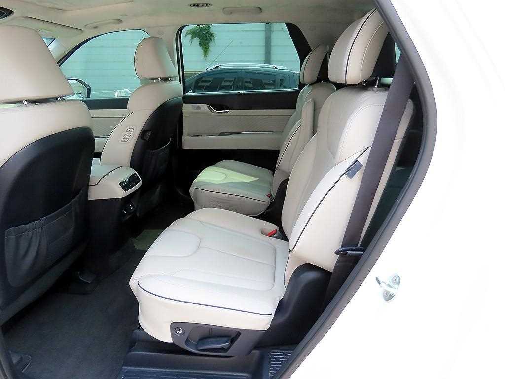 HYUNDAI Palisade - Vista 6