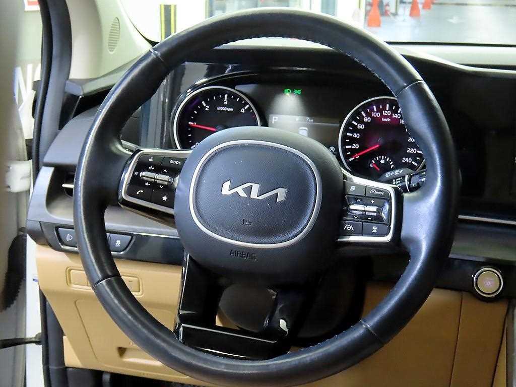 KIA Carnival - Vista 8