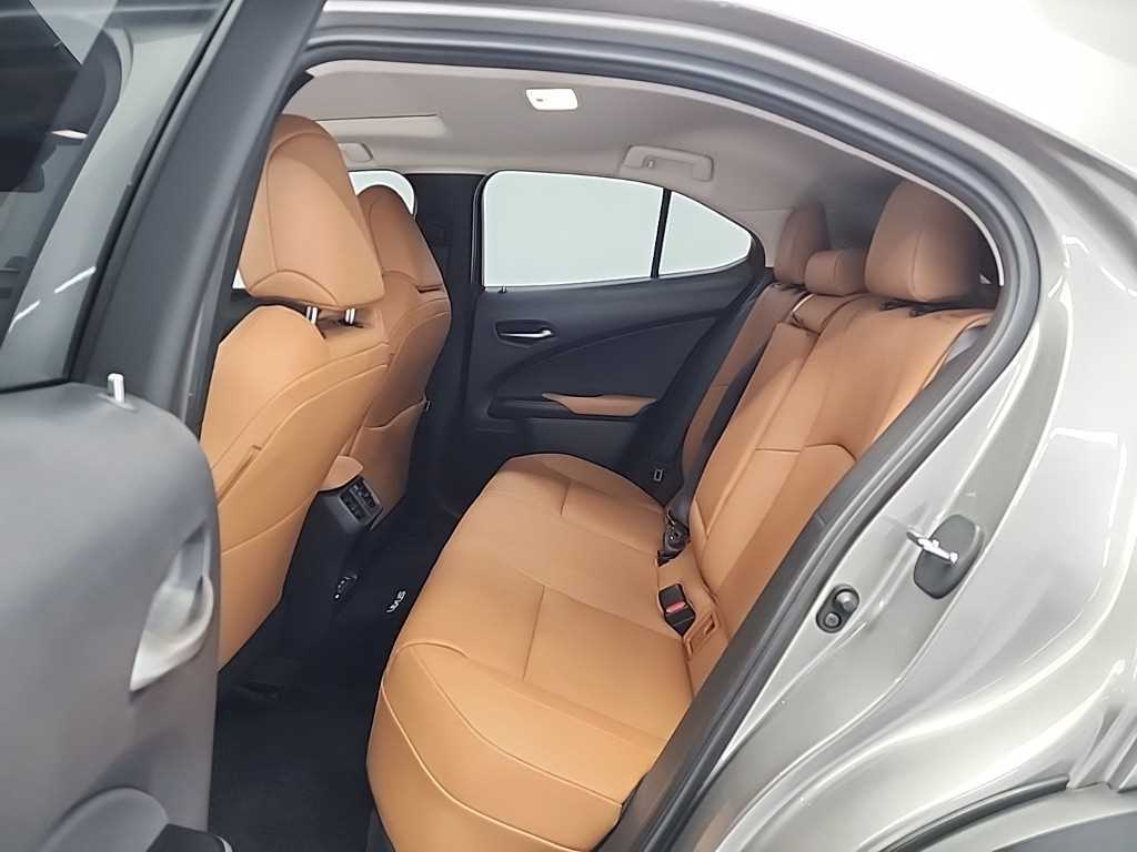 Lexus UX - Vista 12