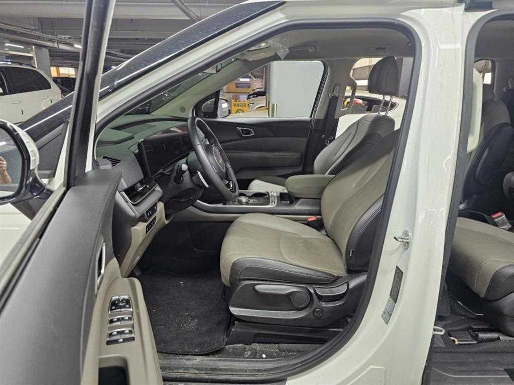 KIA Carnival - Vista 8