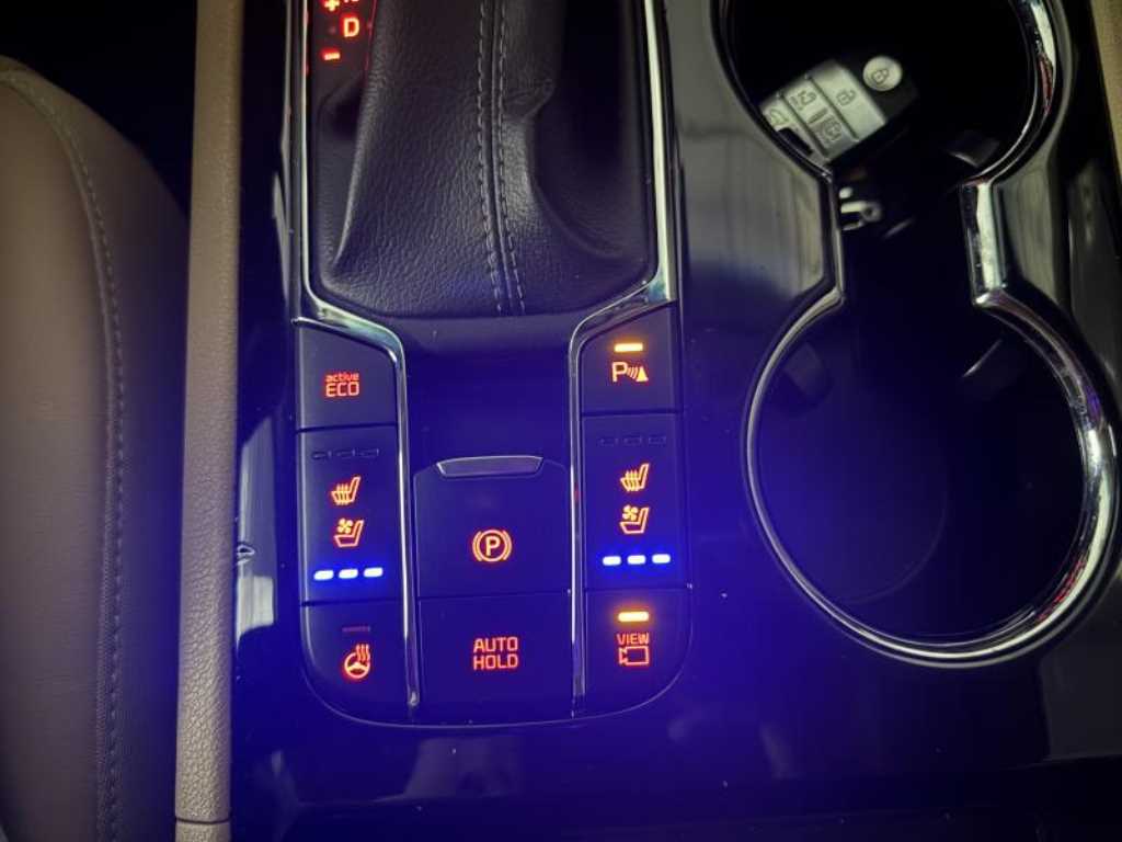 KIA Carnival - Vista 11