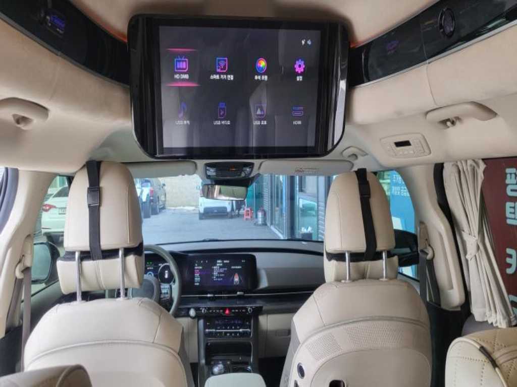 KIA Carnival - Vista 9