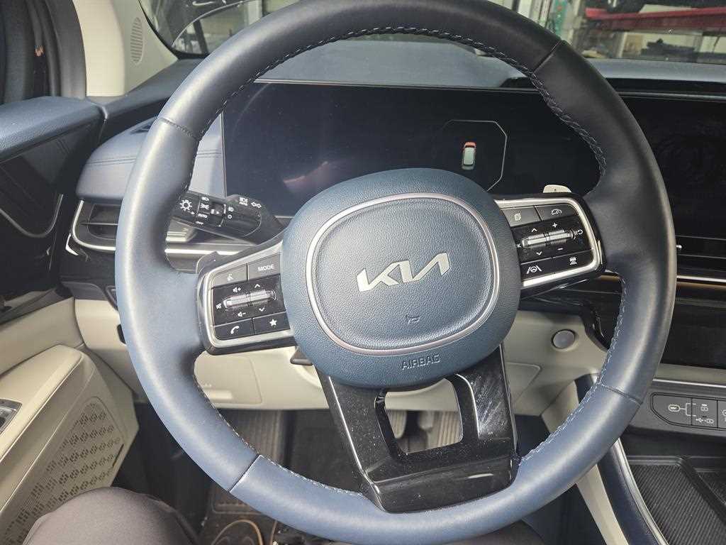 KIA Carnival - Vista 9