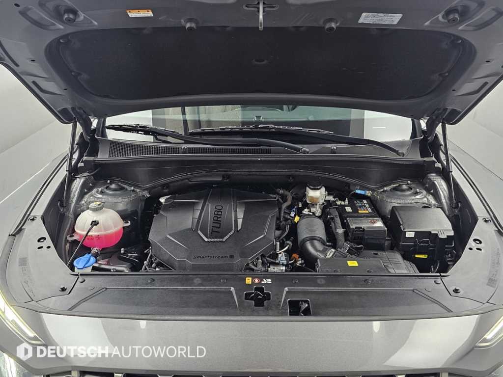HYUNDAI Santa Fe - Vista 6