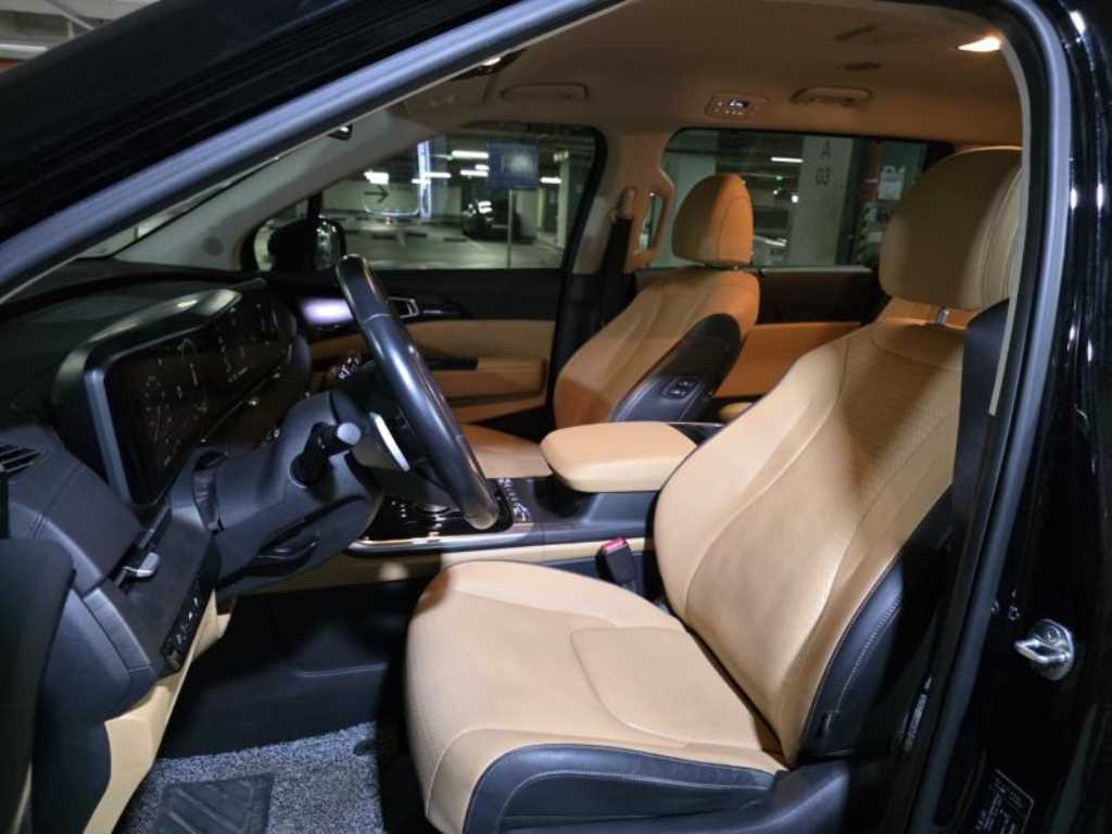 KIA Carnival - Vista 8