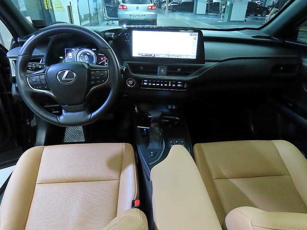 Lexus UX - Vista 10