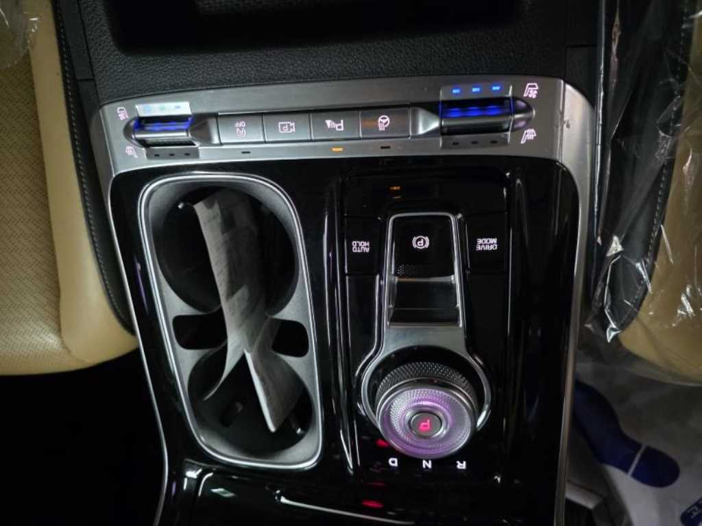 KIA Carnival - Vista 10