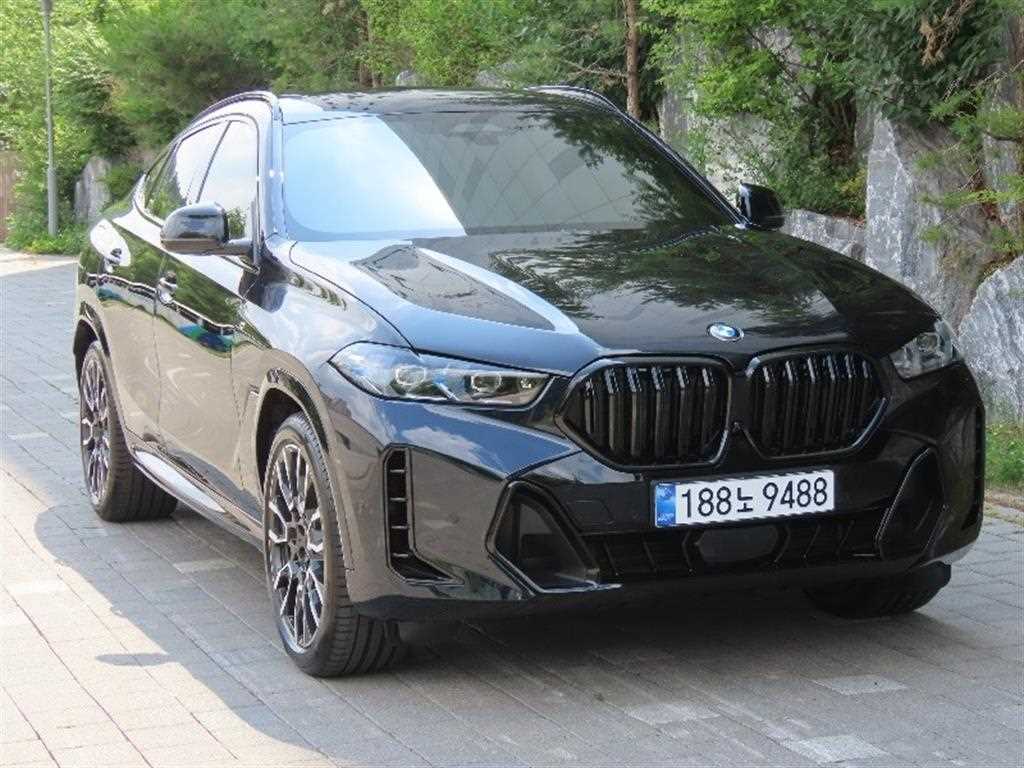 BMW X6 - Vista 2
