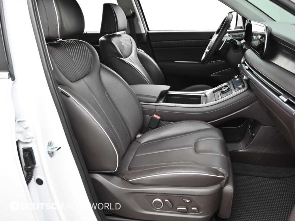 HYUNDAI Palisade - Vista 10