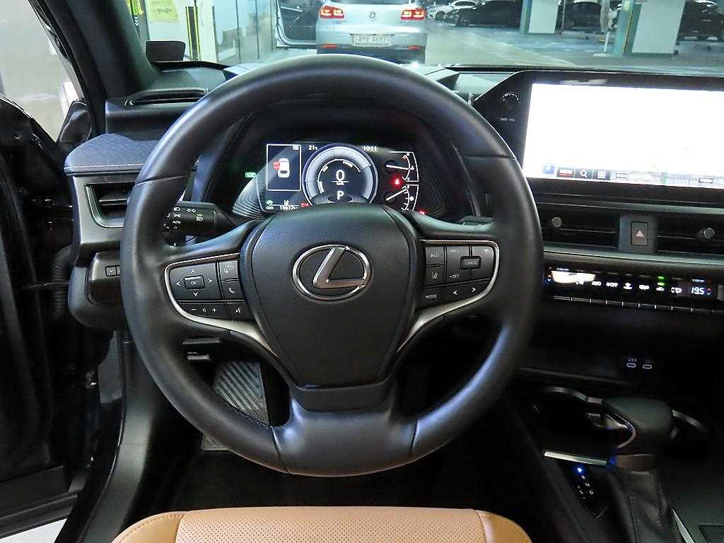 Lexus UX - Vista 8