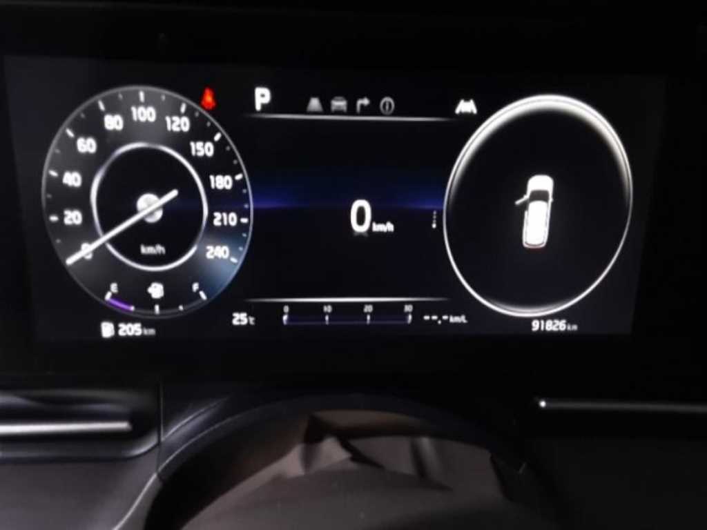 KIA Carnival - Vista 9