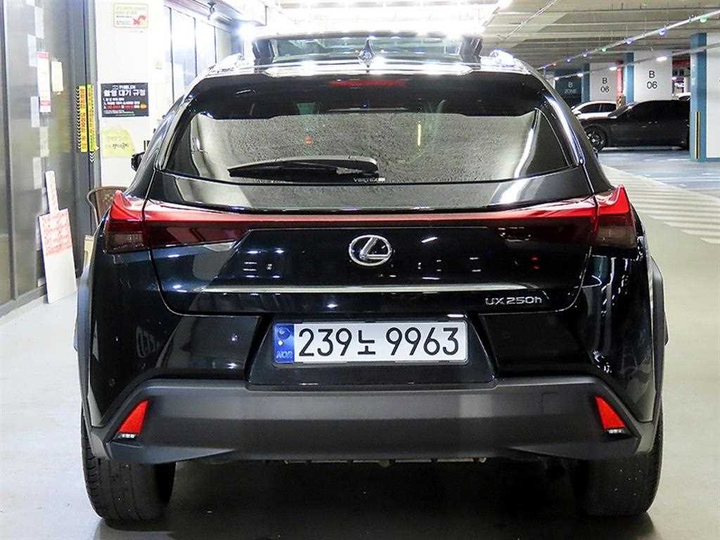 Lexus UX - Vista 5