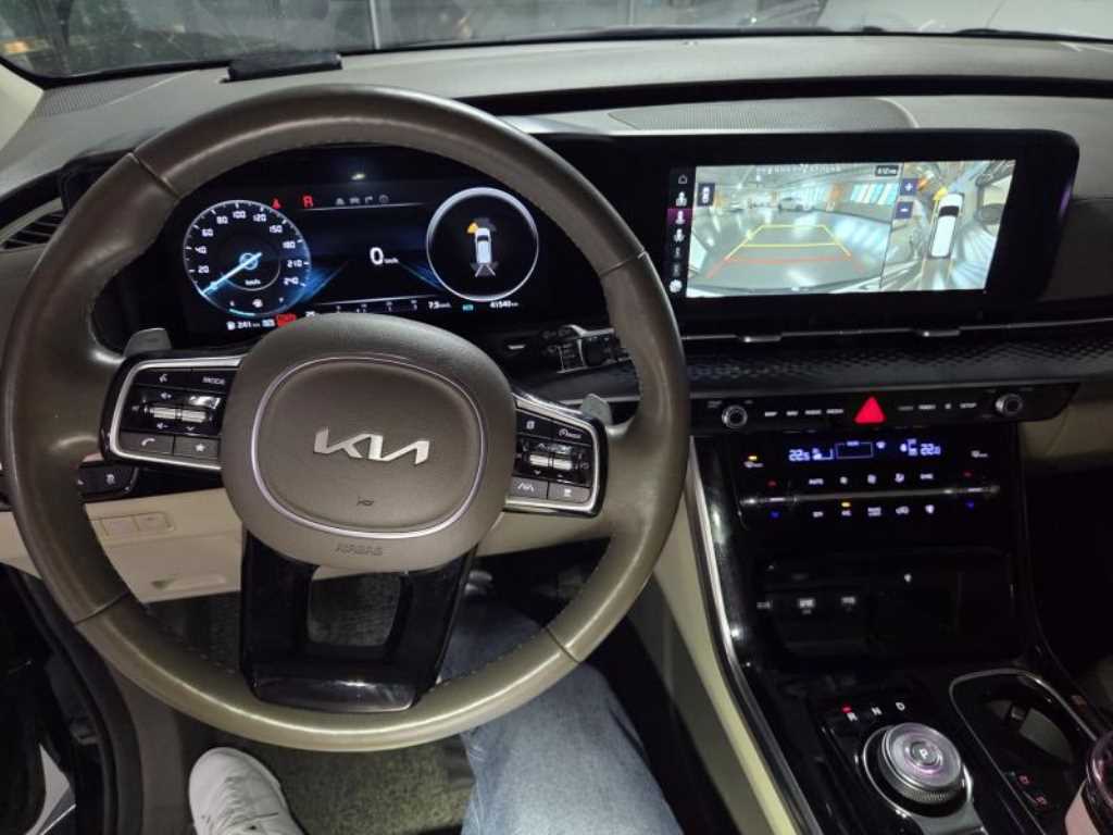 KIA Carnival - Vista 3