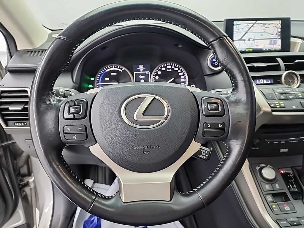 Lexus NX - Vista 9
