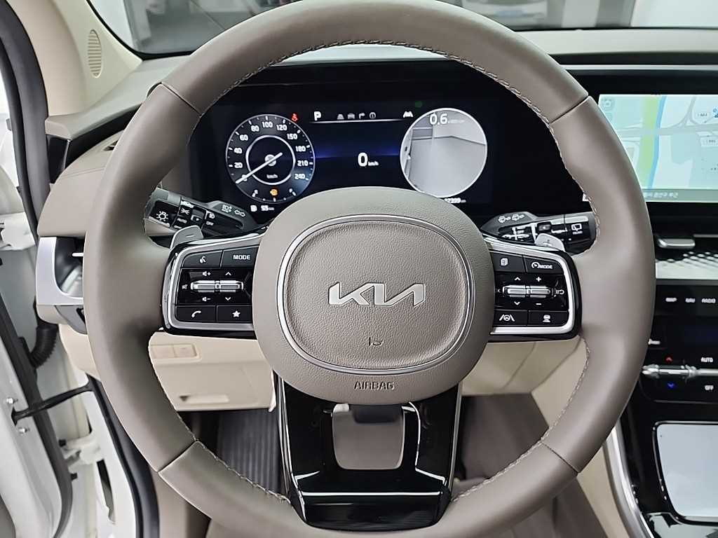 KIA Carnival - Vista 9