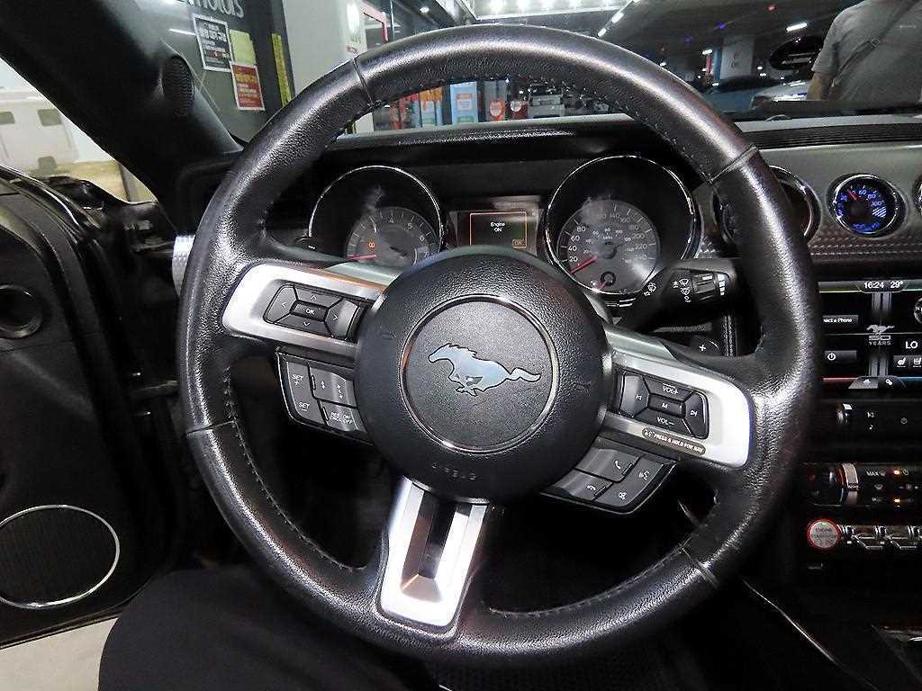 Ford Mustang - Vista 8