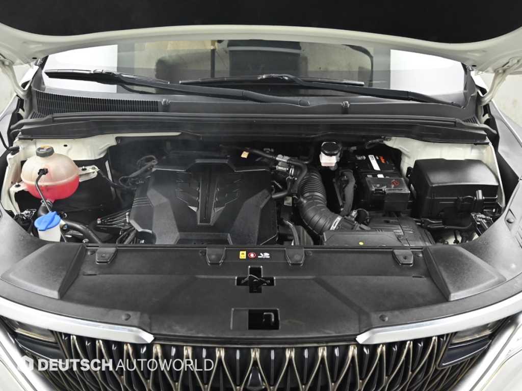 KIA Carnival - Vista 6