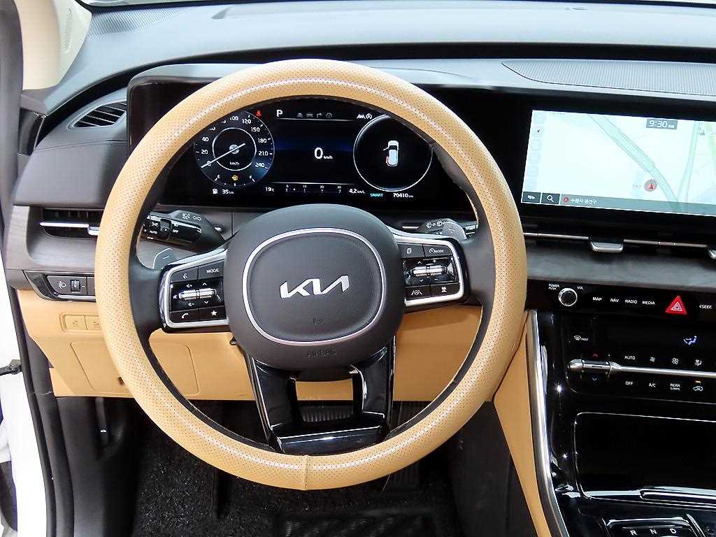 KIA Carnival - Vista 8