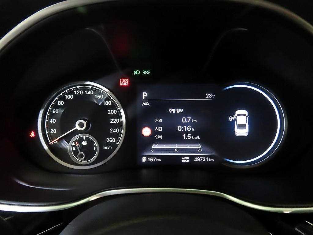 Genesis G80 - Vista 9