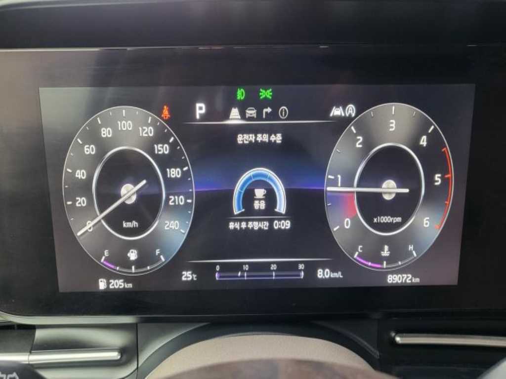 KIA Carnival - Vista 12