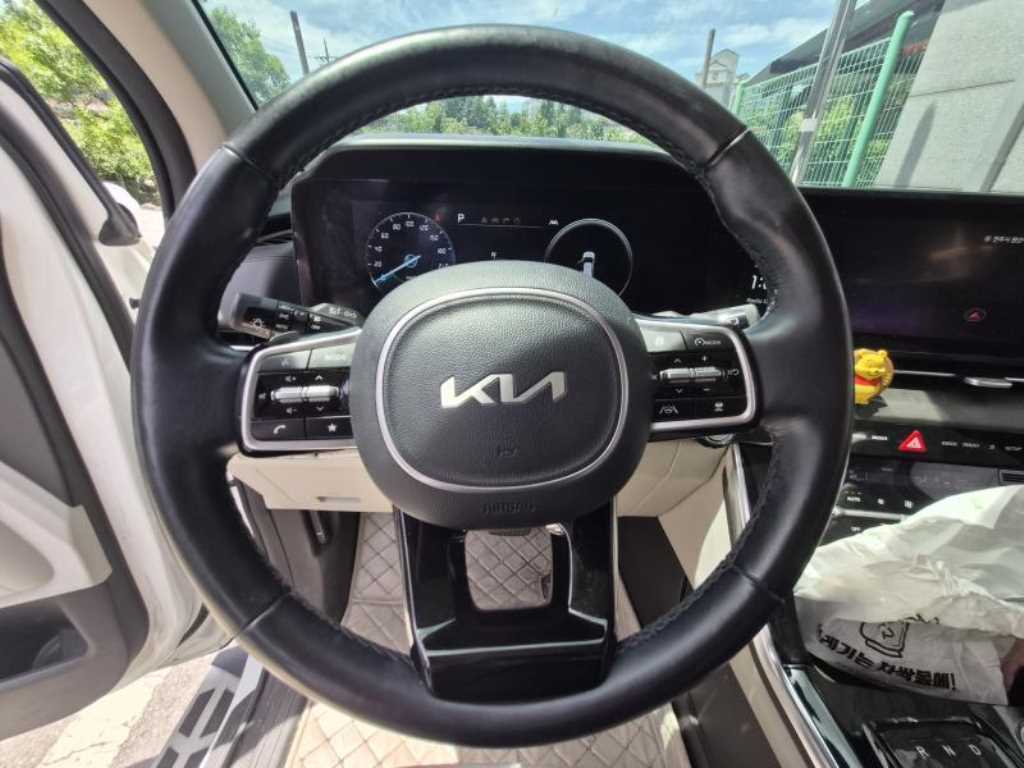KIA Carnival - Vista 8