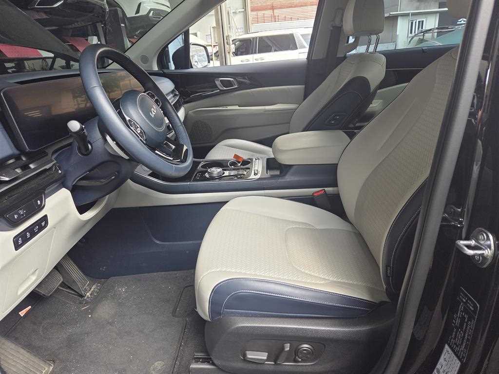 KIA Carnival - Vista 12