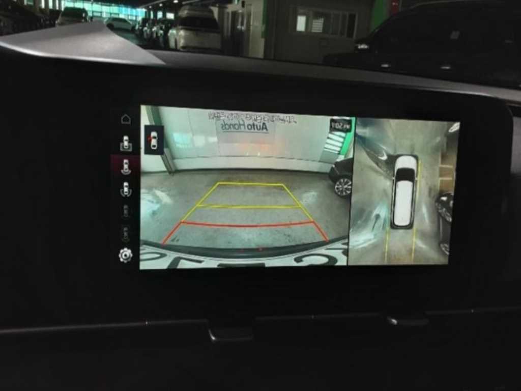 KIA Carnival - Vista 11