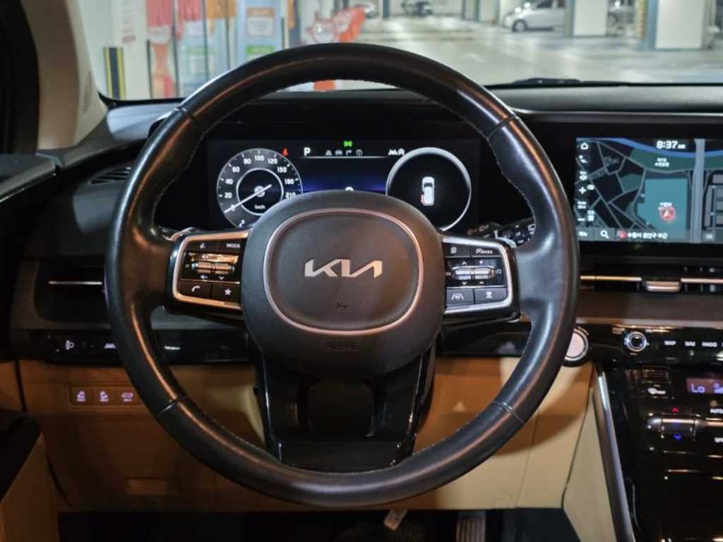 KIA Carnival - Vista 12