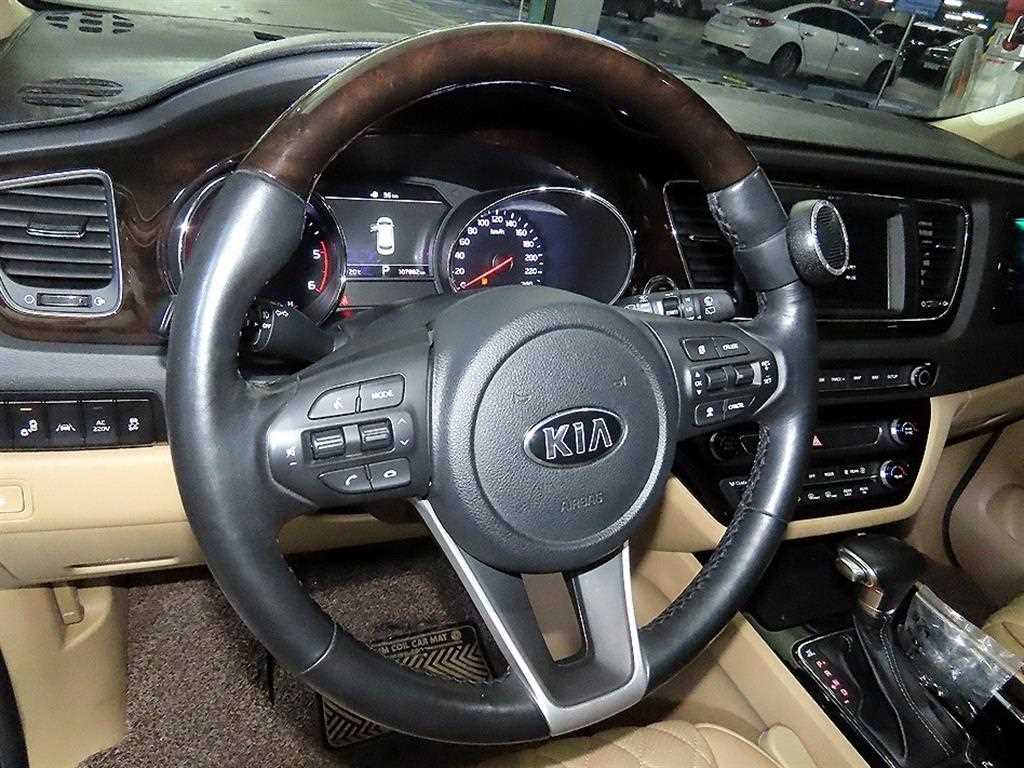 KIA Carnival - Vista 8