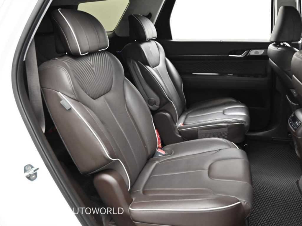 HYUNDAI Palisade - Vista 12