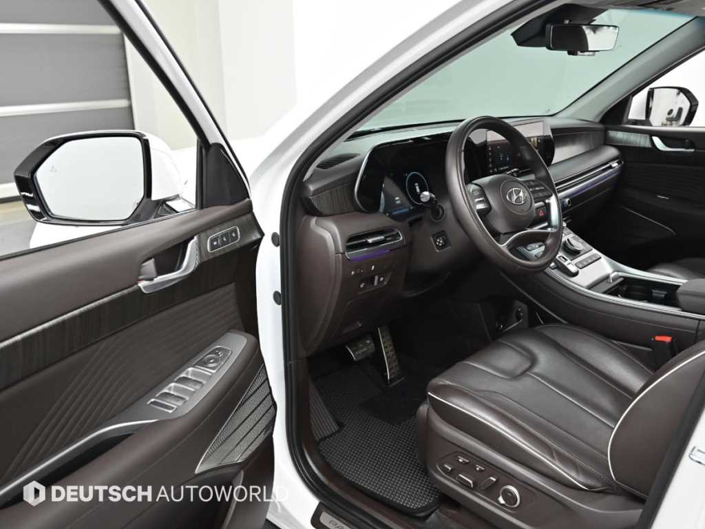 HYUNDAI Palisade - Vista 11