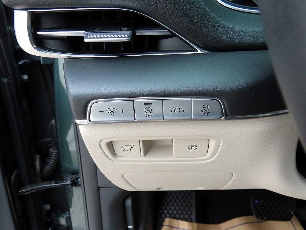 Genesis GV80 - Vista 12