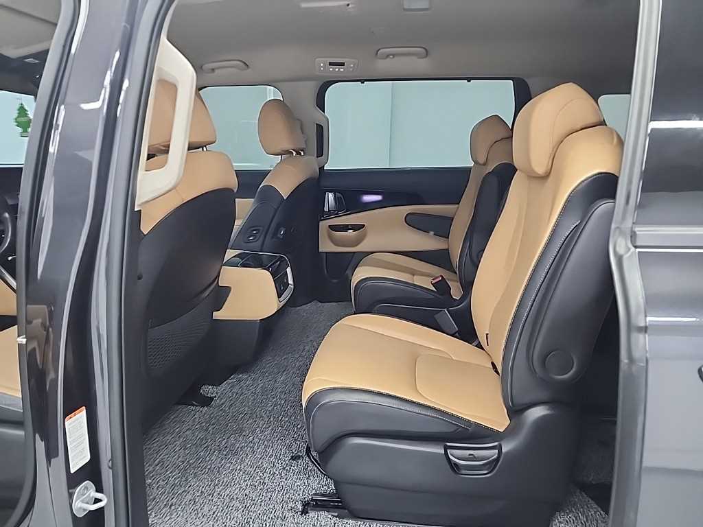 KIA Carnival - Vista 12