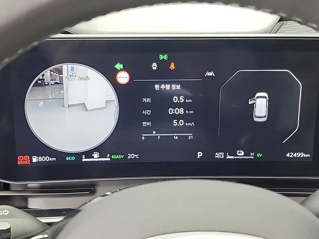 KIA Carnival - Vista 6
