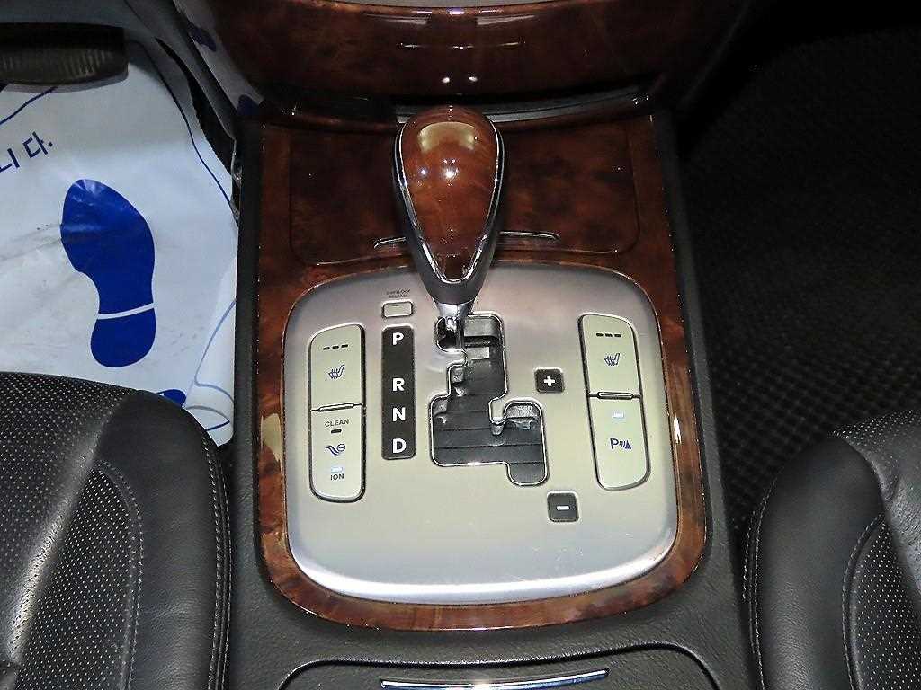 HYUNDAI Genesis - Vista 12