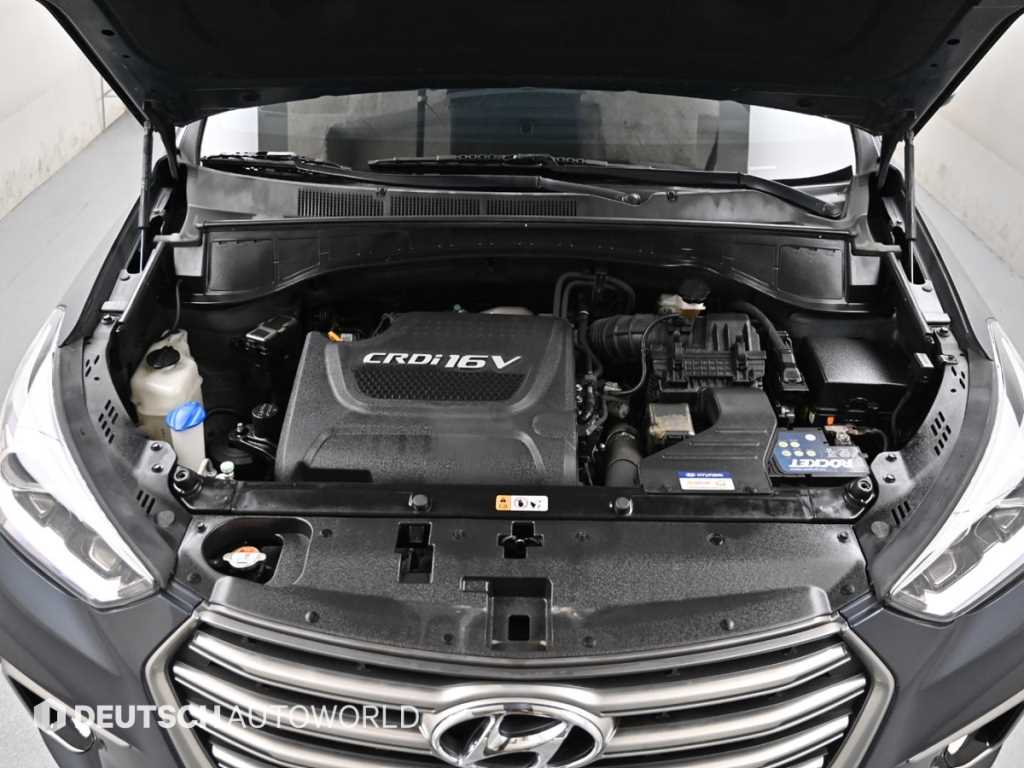 HYUNDAI Maxcruz - Vista 7