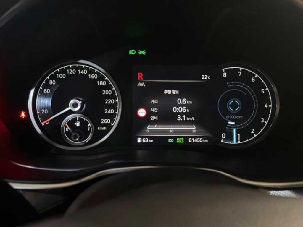Genesis G80 - Vista 9