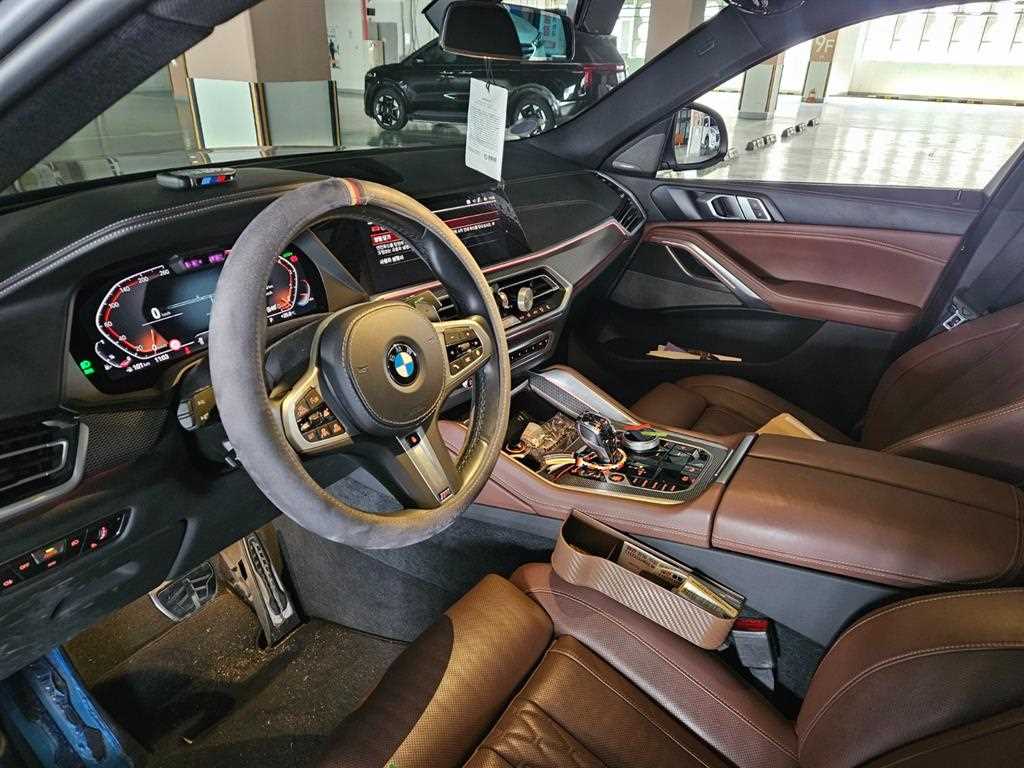 BMW X6 - Vista 8