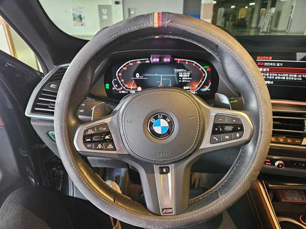 BMW X6 - Vista 12