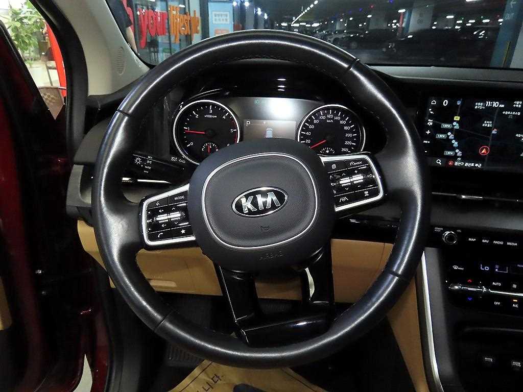 KIA Carnival - Vista 8
