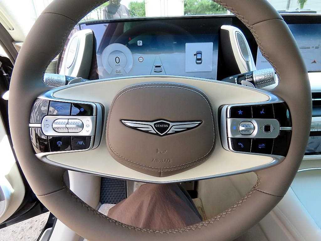 Genesis G90 - Vista 8