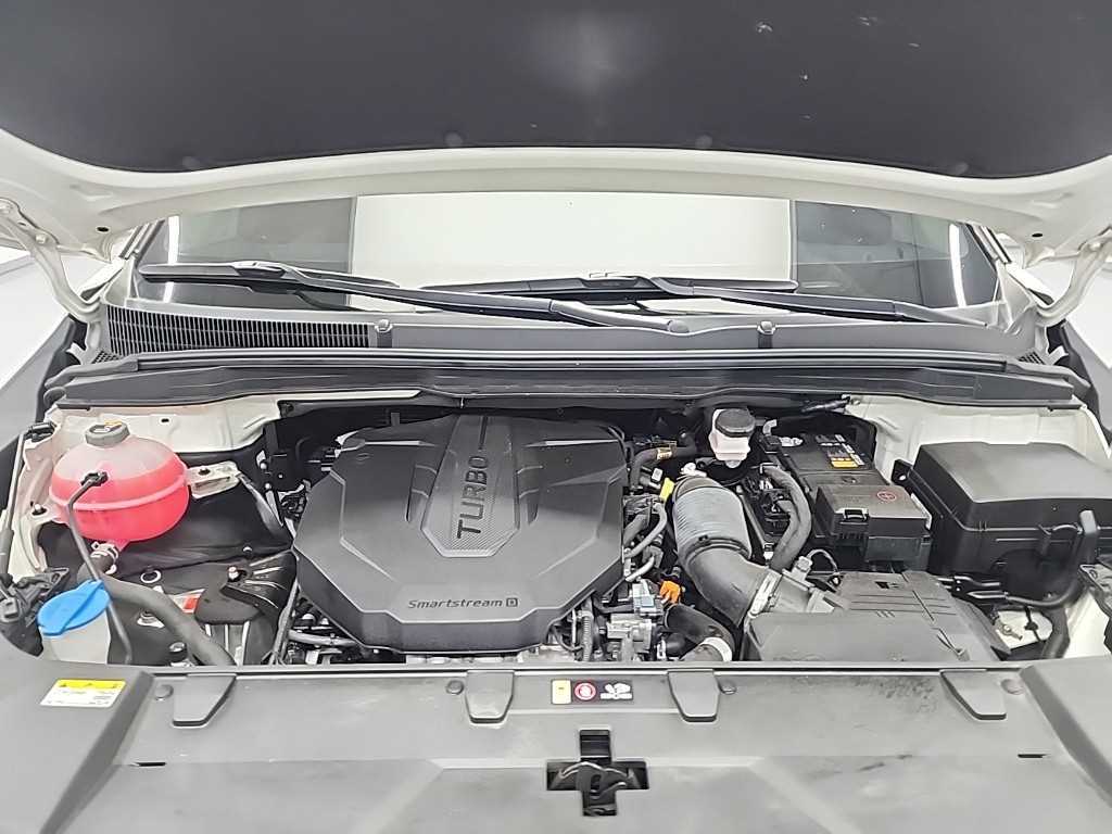 KIA Carnival - Vista 5