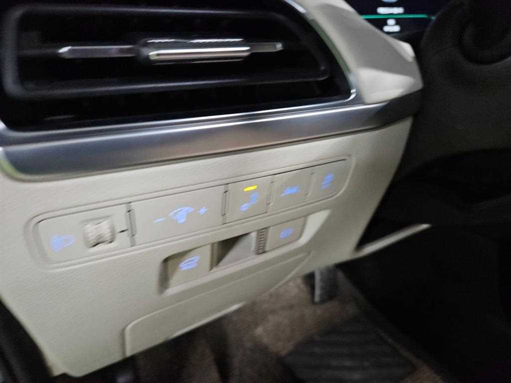 HYUNDAI Palisade - Vista 10