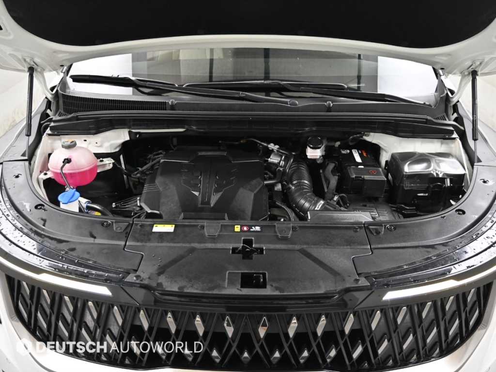 KIA Carnival - Vista 6